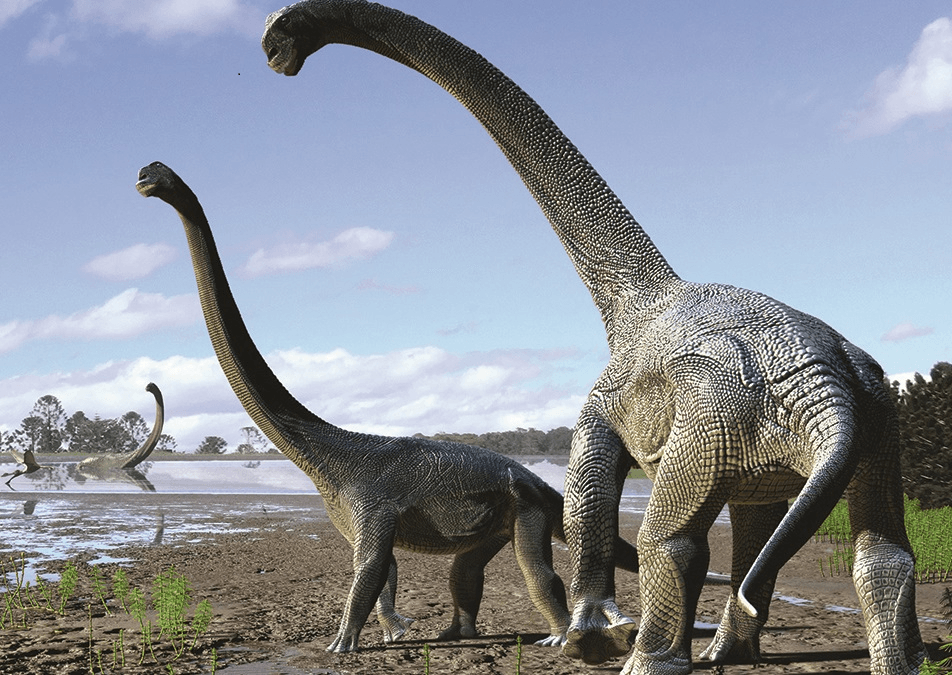 Fósseis de dinossauros são encontrados no Maranhão