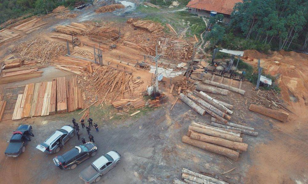Policia Federal combate extração de madeira no Maranhão