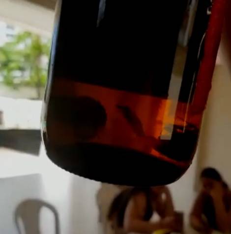 AmBev diz que está em contato com consumidor que relatou barata em garrafa de Brahma no Maranhão