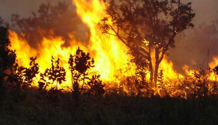 Maranhão registra mais de 2 mil focos de queimadas no mês de novembro