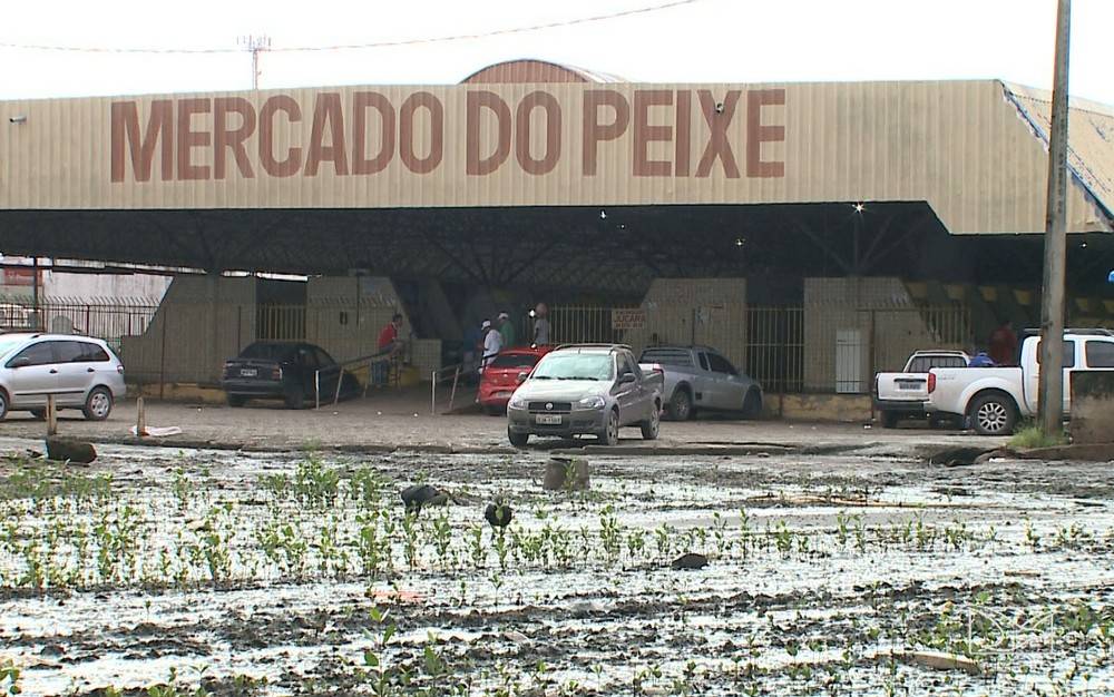 MP pede que a Justiça obrigue o governo do MA a reformar o Mercado do Peixe, em São Luís