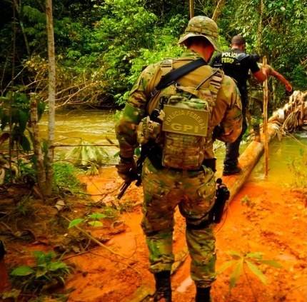 Polícia Federal investiga atuação criminosa em incêndios na Amazônia