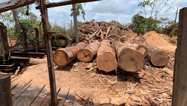 Policia Federal e Exército fecha serrarias e apreende madeira ilegal no Maranhão