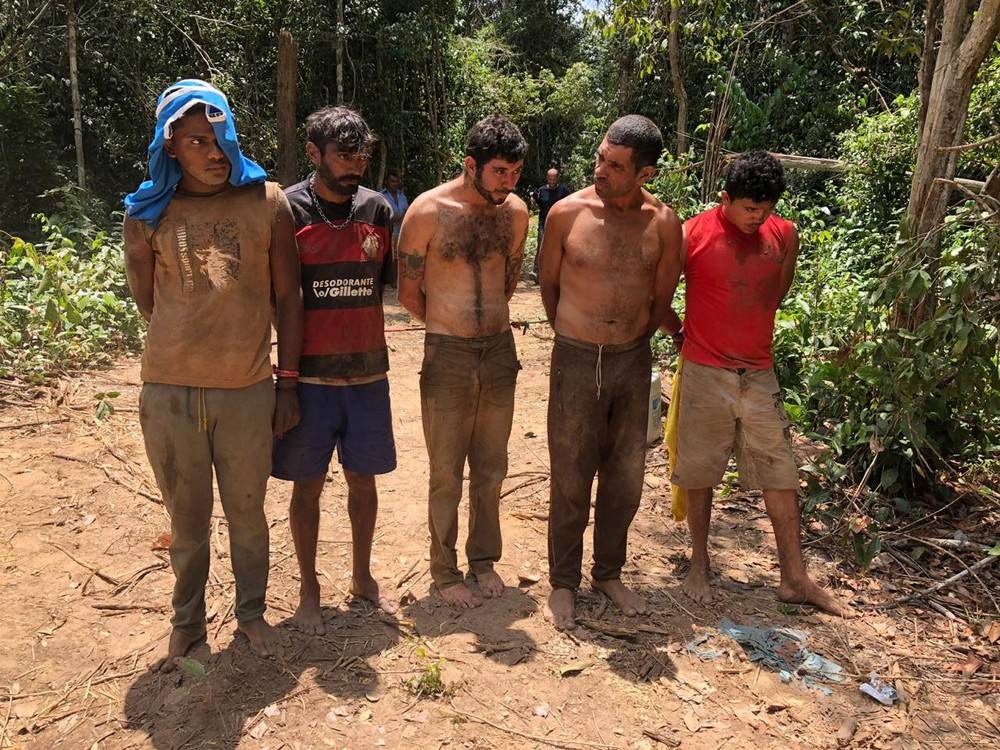 'Guardiões da Floresta' prendem madeireiros desmatando reserva em Amarante (MA)
