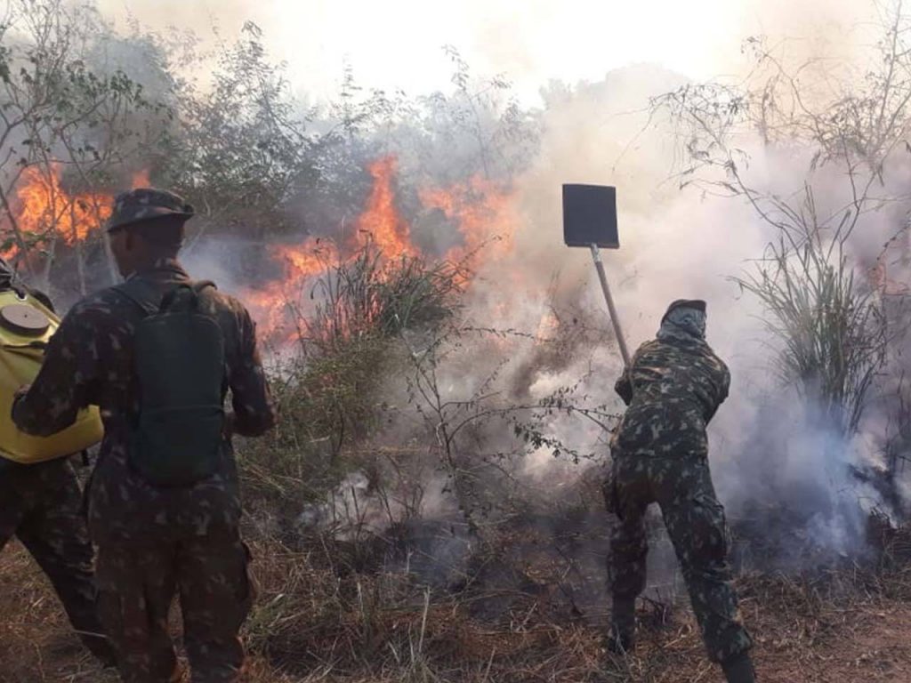 Após força-tarefa, Exército aponta redução de queimadas no Maranhão