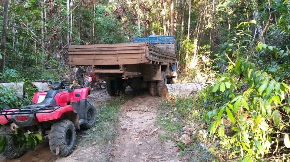 'Guardiões da Floresta' pedem ajuda às autoridades após ameaças de morte por parte de madeireiros no MA