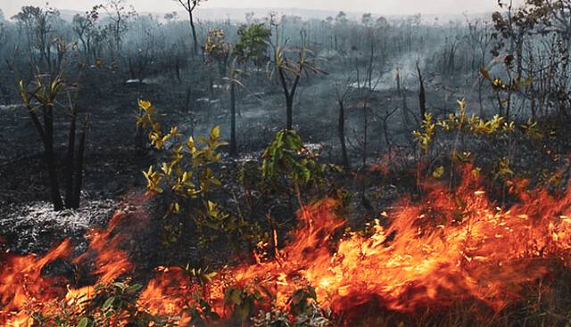Mais de 3,1 mil focos de incêndios são registrados no Maranhão em outubro