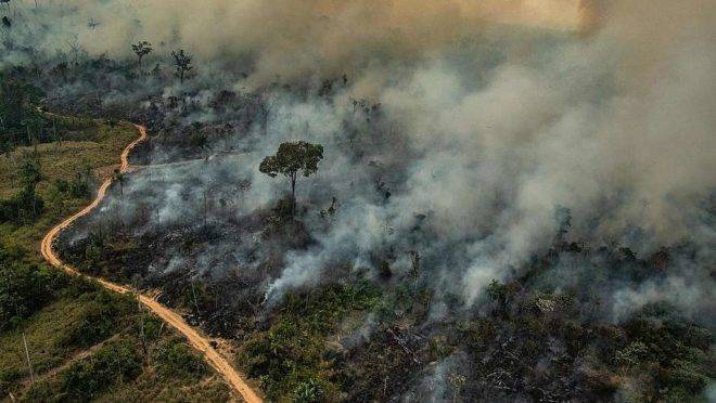 Fogo na Amazônia foi criminoso e organizado por fazendeiros diz PF
