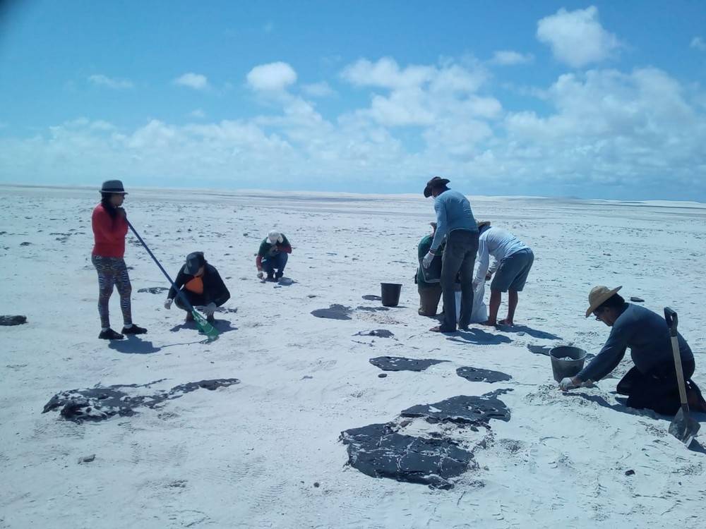 Cerca de 700 kg de óleo é retirado em praia nos Lençóis Maranhenses por voluntários