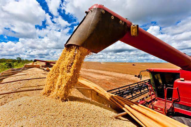 Flávio Dino sanciona lei que aumenta em 3% taxa sobre soja e milho