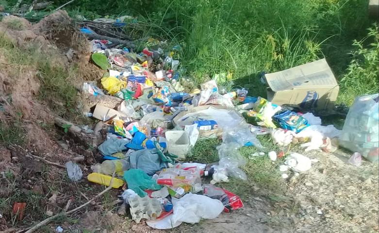 Covid-19: lixo hospitalar é descartado em ruas do município de Bom Jardim
