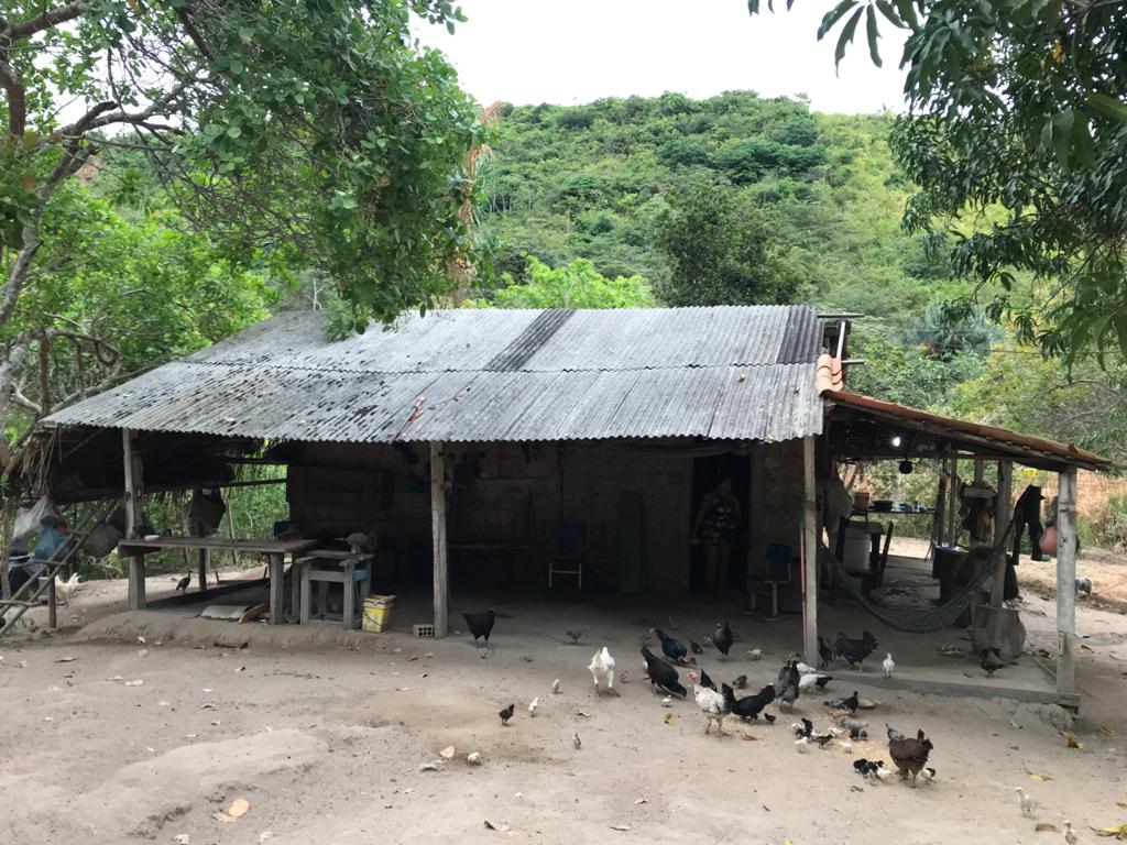 Polícia liberta mulher de cárcere privado e desmonta fábrica de armas em Bom Jesus das Selvas