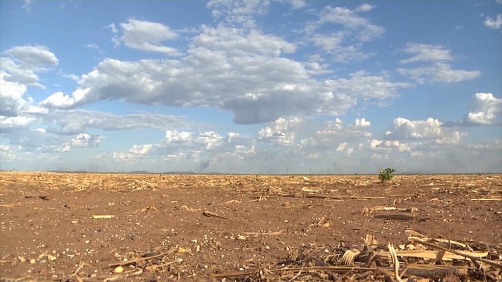 Justiça de Balsas determina reintegração de posse da Fazenda Picos