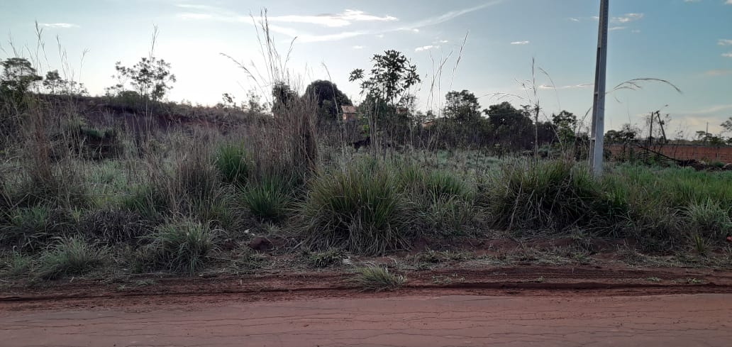 Presidente da Câmara de Formosa da Serra Negra paga R$ 123 mil em terreno que vale em torno de 20 mil