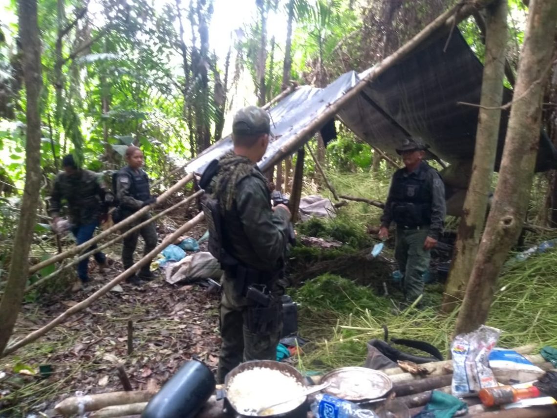 Cerca de 8 mil pés de maconha e 200kg da droga prensada são apreendidos em Buriticupu