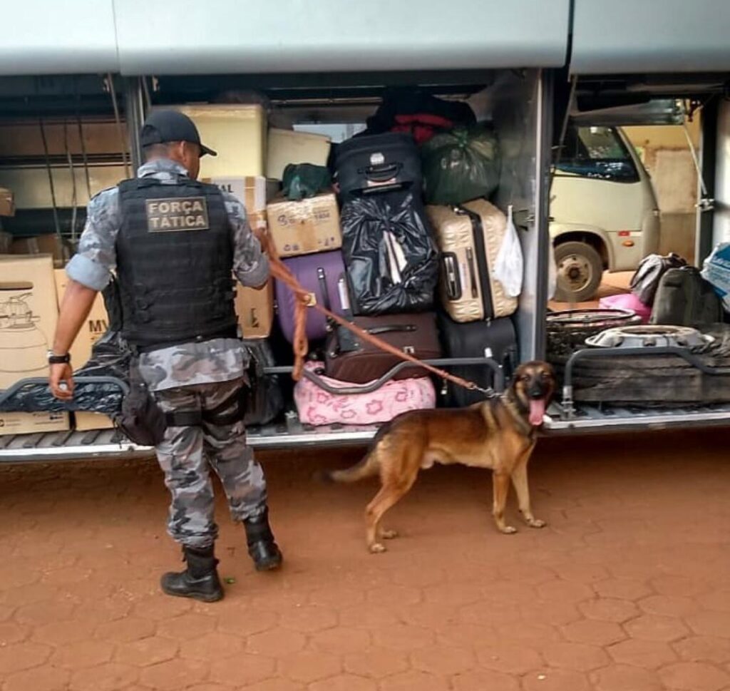 Polícia Militar do 12º BPM de Estreito apreendeu quase 40 kg de drogas e recuperou 64 veículos em 2020