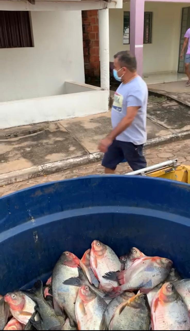 Prefeito Fernando Bermuda distribui peixes para Semana Santa em Campestre