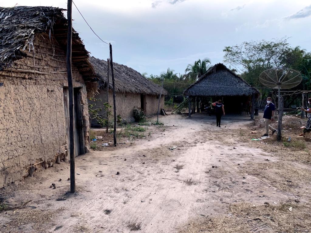 Maranhão entra em alerta após caso confirmado de raiva humana em criança de dois anos