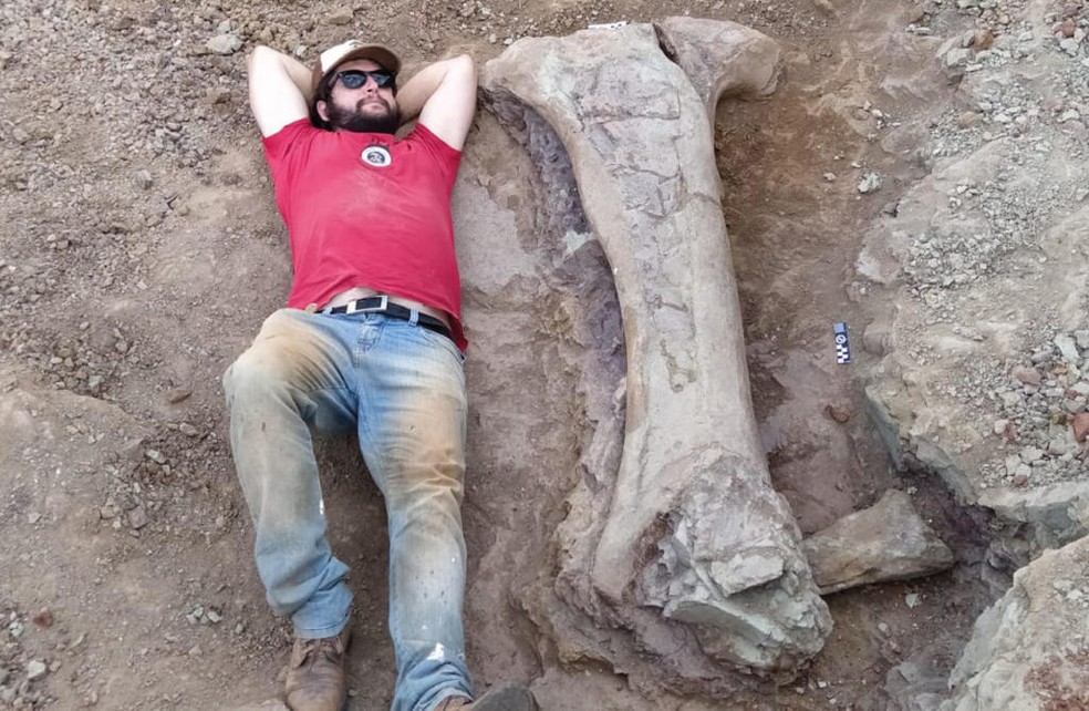 Paleontólogo ajuda na descoberta de dinossauro gigante no Maranhão