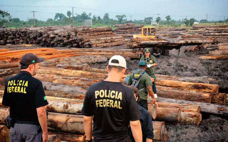 Polícia Federal investiga servidores do IBAMA por desvio de madeira apreendida no Maranhão