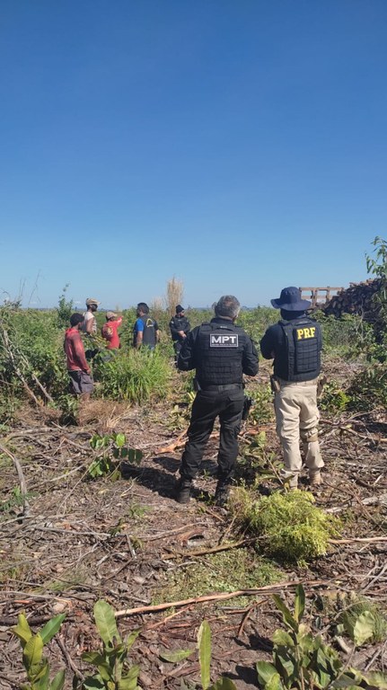 Três homens são resgatados de trabalho análogo à escravidão em Balsas