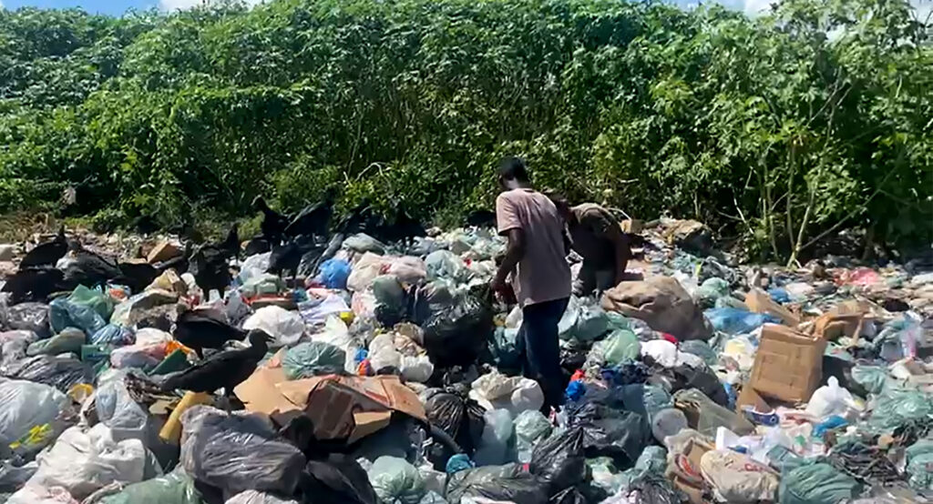 Adolescentes são encontrados em situação de trabalho infantil no Maranhão