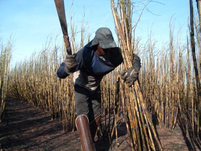 Em Minas Gerais, são resgatados 74 maranhenses em situação análoga à escravidão