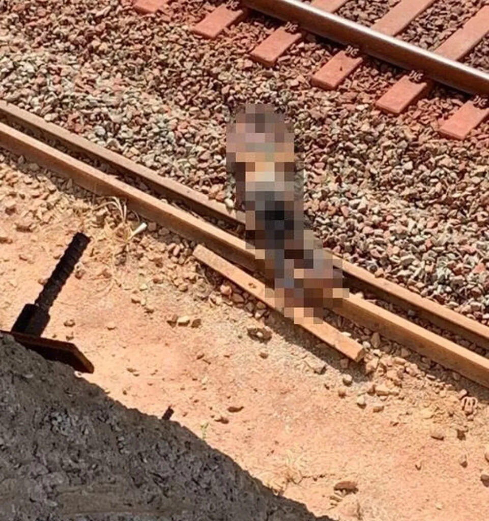 Corpo de homem com mãos amarradas é encontrado sob trilhos de ferrovia em Açailândia