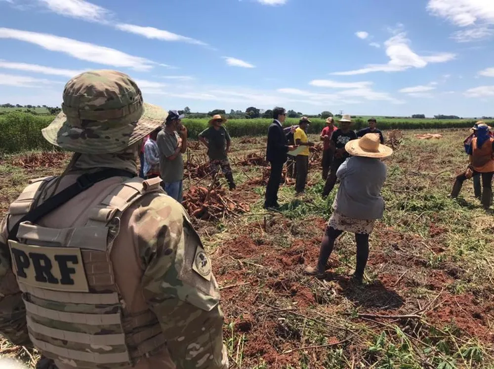 Onze trabalhadores são resgatados de condições análogas à escravidão em Imperatriz