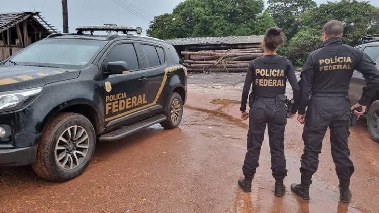 Operação da PF investiga serrarias de Grajaú por venda de madeira extraída de terras indígenas