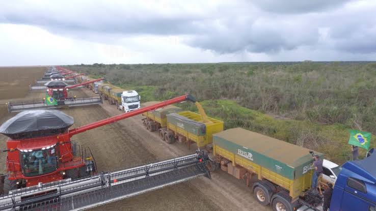 Decisão Judicial isenta produtores de grãos do Sul do Maranhão de novo imposto sancionado por Brandão