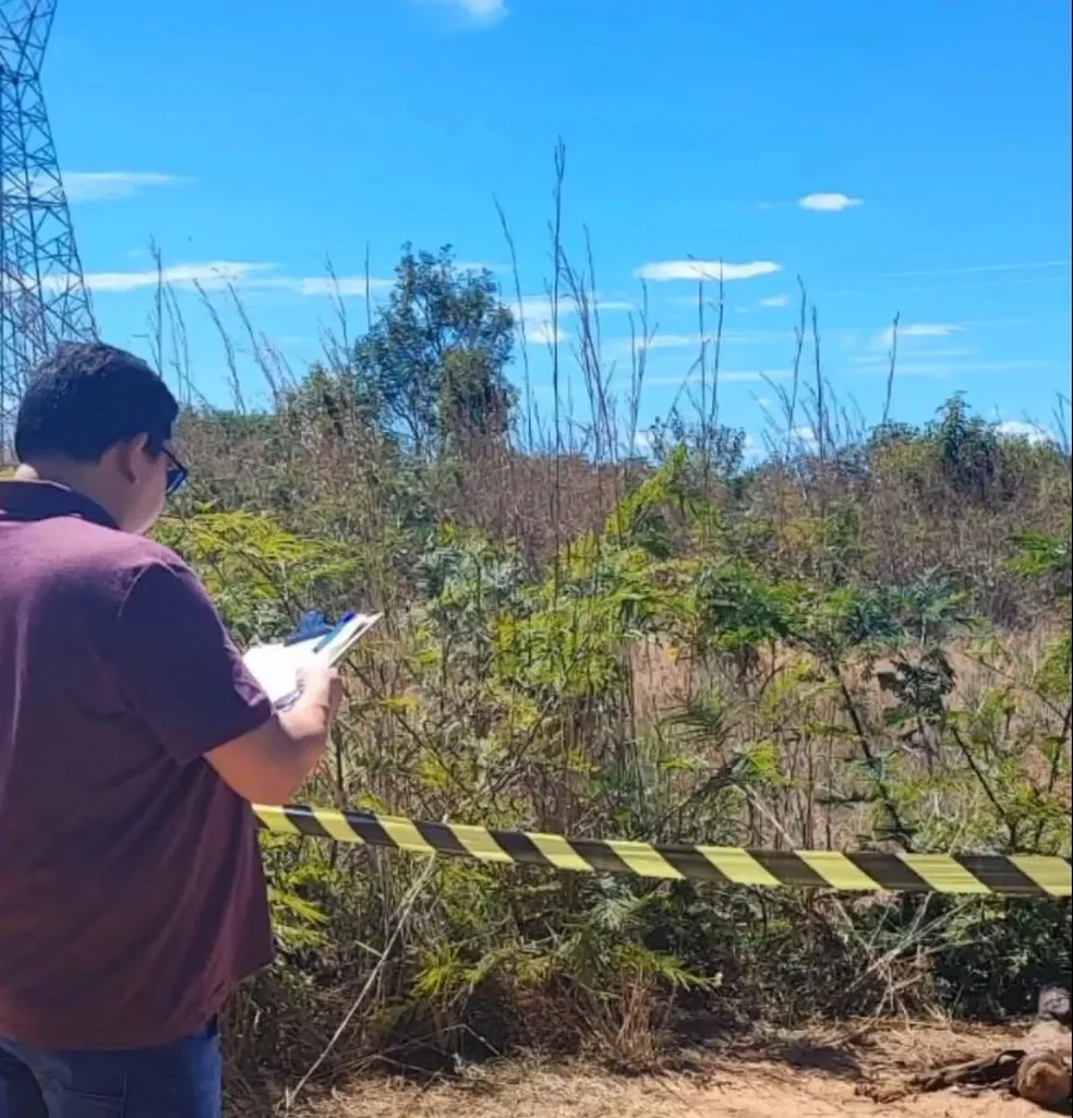 Corpo de jovem é encontrado em matagal em Governador Edison Lobão