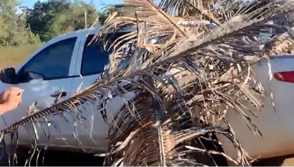 VÍDEO: Cobrando indenização milionária indígenas colocam fogo em veículo da Eletronorte no Maranhão