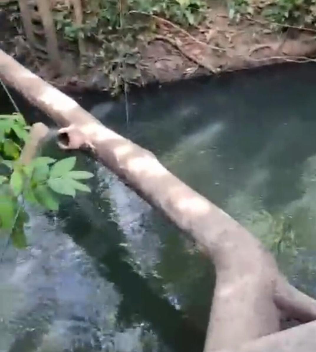 VÍDEO: Após ponte cair, alunos se arriscam em pedaço de madeira para chegar à escola na zona rural de Estreito