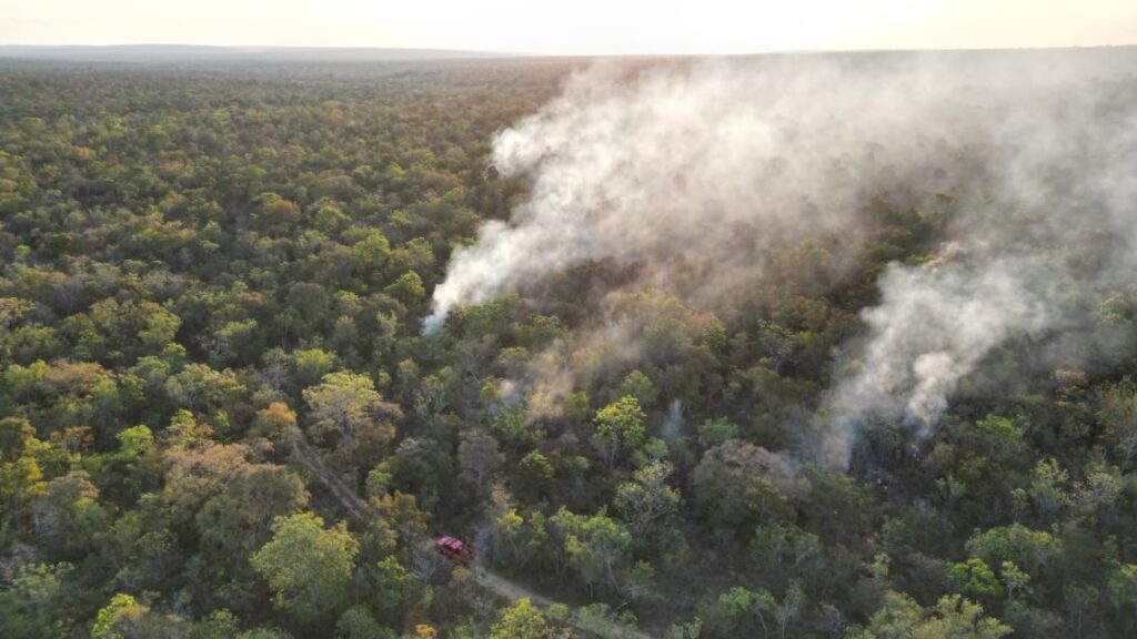Ibama pede ajuda da Força Nacional para combater incêndios no Parque Estadual do Mirador no Maranhão