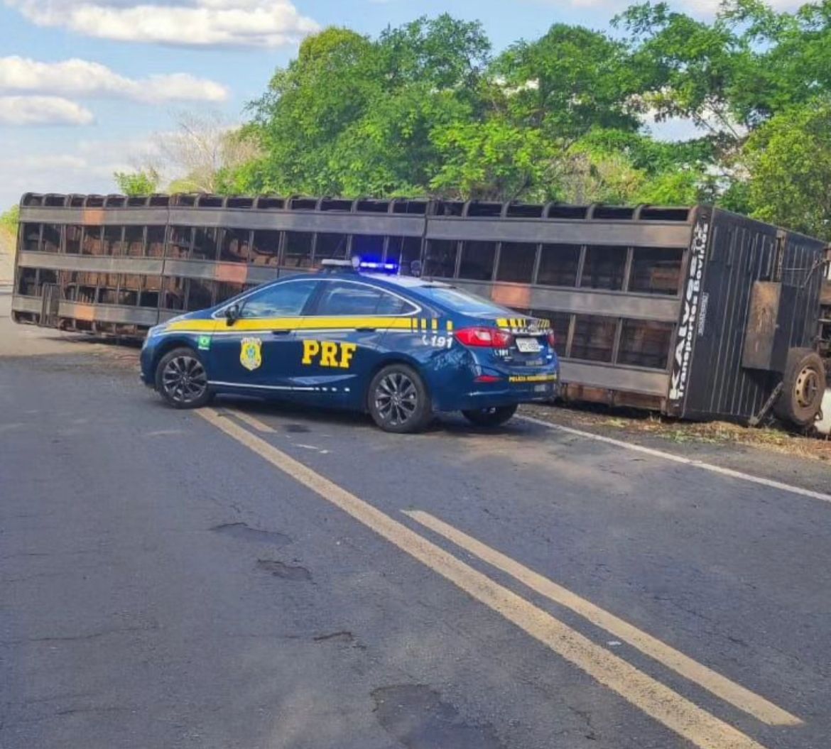 Caminhão boiadeiro que iria carregar em Estreito se envolve em acidente e motorista vai preso por embriaguez