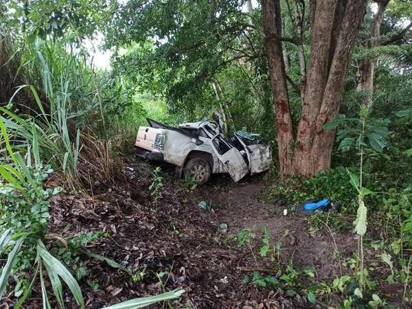 Caminhonete do TRT bate em árvore e deixa dois mortos na BR-135 no Maranhão