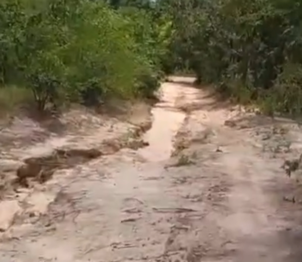 Moradores fazem mutirão para construir desvio em estrada esquecida pela gestão de Ruggero Felipe em Riachão