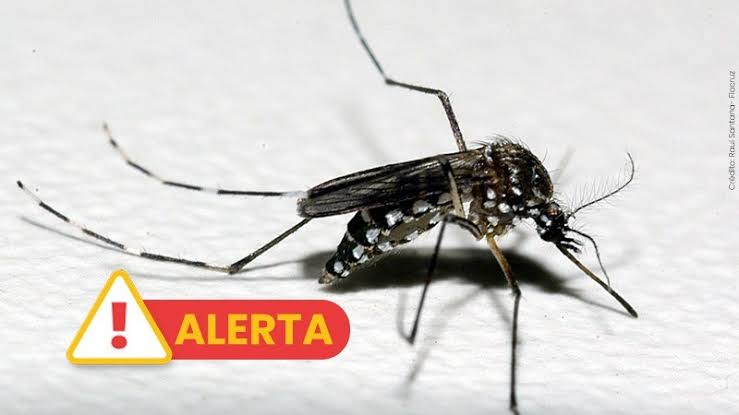 Registrada a primeira morte por dengue em no Maranhão Enquanto Isso no Maranhão