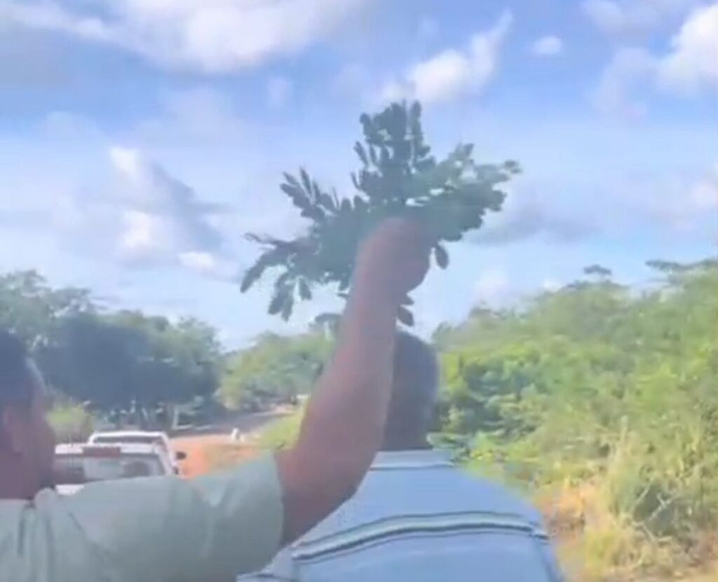 Homem segura folha para prefeito do Maranhão não pegar sol