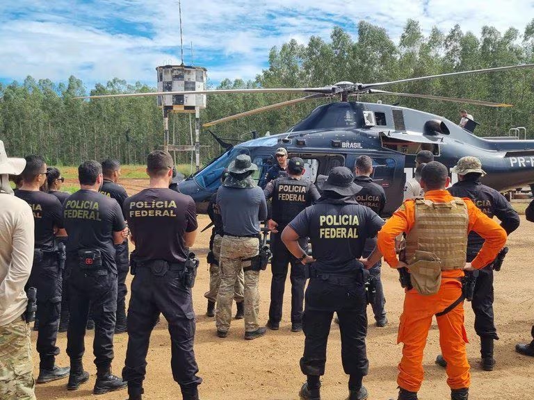 Polícia Federal destrói mais de 7 mil pés de maconha e doze são presos durante operação em terra indígena em Grajaú no MA