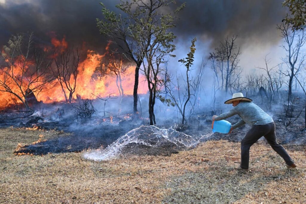 Flávio Dino estabelece orçamento de emergência para combate a incêndios