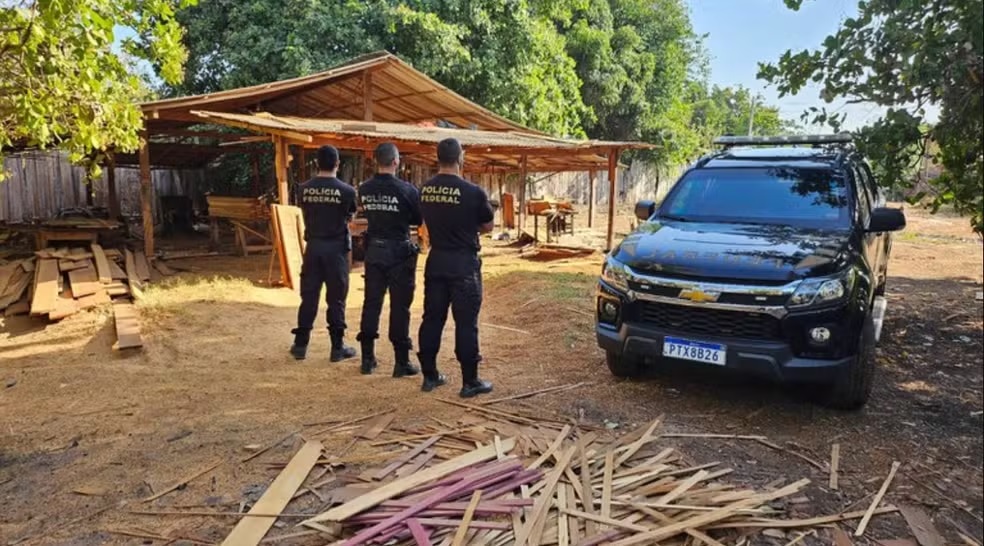 Suspeita de vender madeira ilegal em Terra Indígena no Maranhão é presa em flagrante pela Polícia Federal